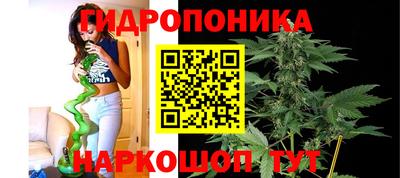 СК Гагарин
