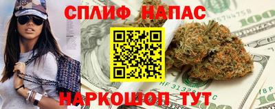 СК Гагарин