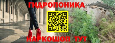 герыч Гатчина