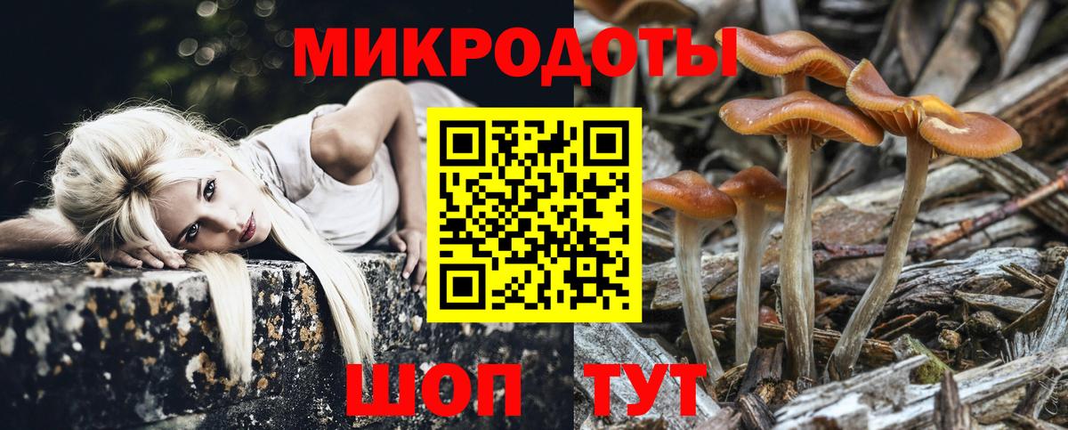Псилоцибиновые грибы GOLDEN TEACHER  Вход с VPN  Лесозаводск 